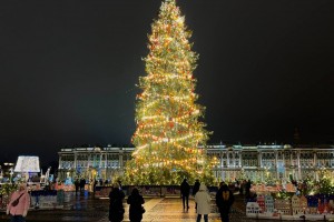 Организация туров на Новый год в Санкт-Петербурге
